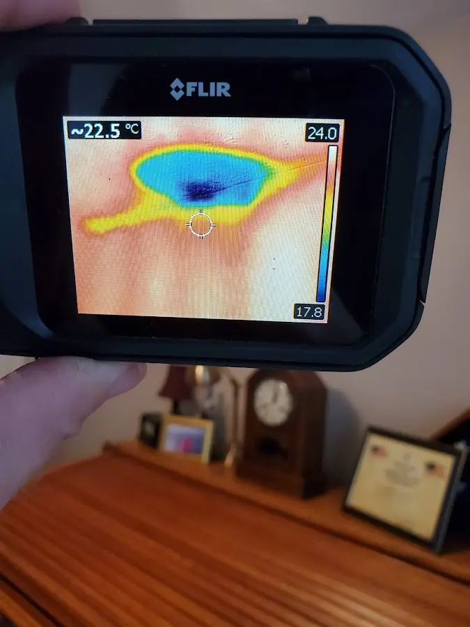 Thermal imaging inspection for water damage in Gardere